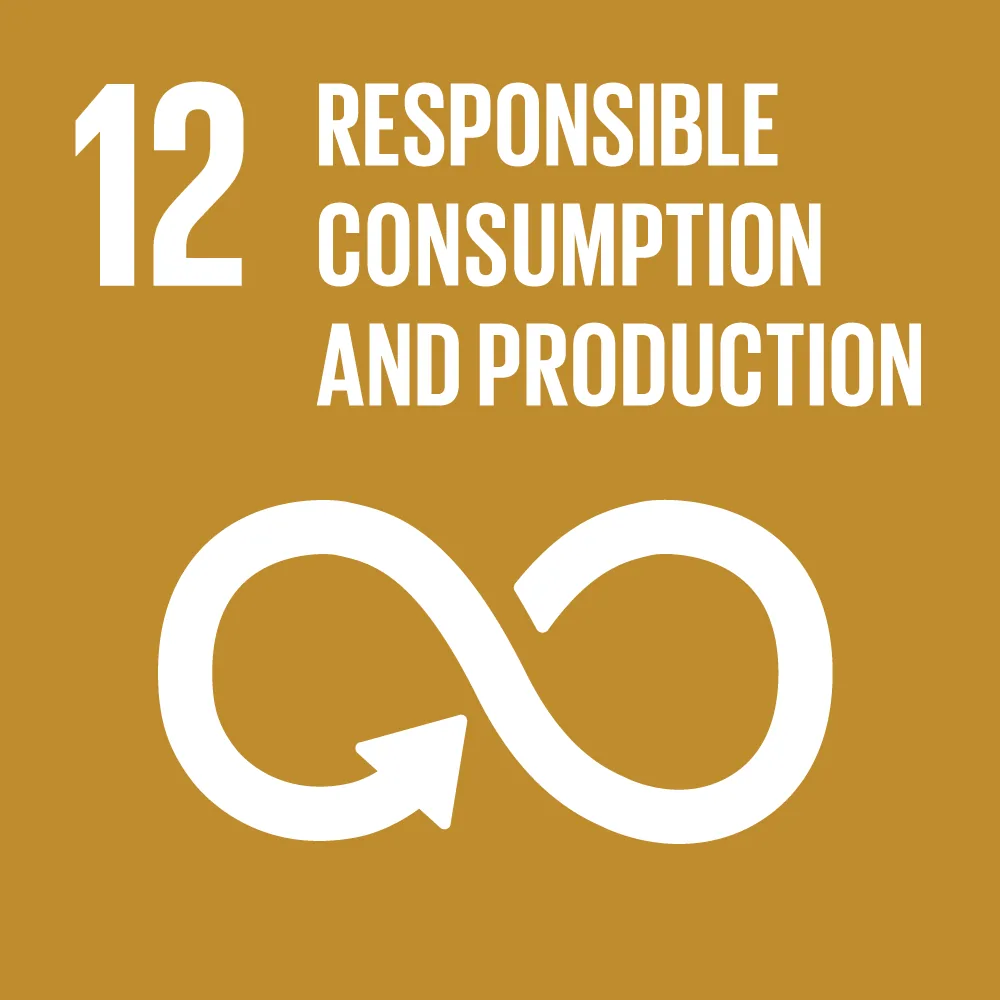 SDG 12 — Responsible Consumption & Production