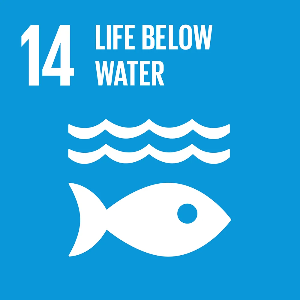 SDG 14 — Life Below Water